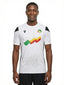 Maillot Officiel Équipe Nationale du Bénin – Édition Extérieur (Réplica/Fan)