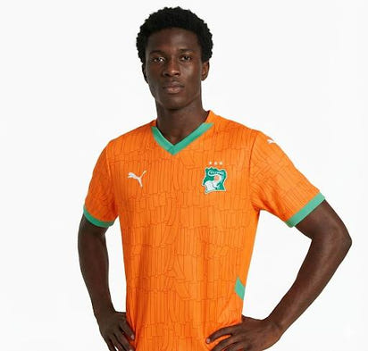 Maillot Officiel Côte d’Ivoire – Édition Domicile (Réplica/Fan)