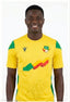 Maillot Officiel Équipe Nationale du Bénin – Édition Domicile (Fan/Réplica)